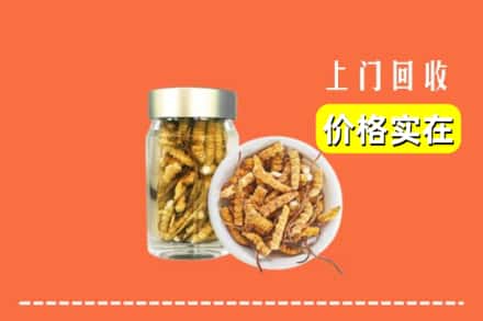 称多县回收散虫草