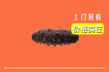 称多县回收海参