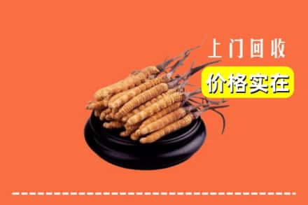 称多县回收冬虫夏草