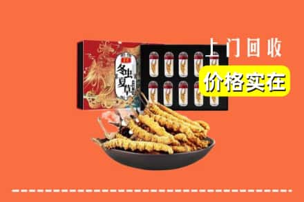 称多县回收虫草